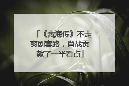 《藏海传》不走爽剧套路，肖战贡献了一半看点