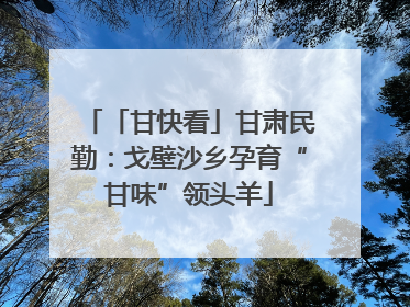 「甘快看」甘肃民勤：戈壁沙乡孕育“甘味”领头羊