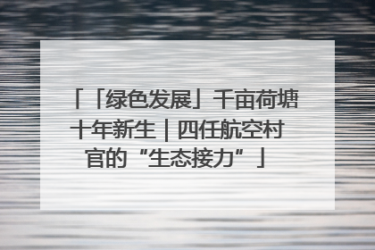 「绿色发展」千亩荷塘 十年新生｜四任航空村官的“生态接力”