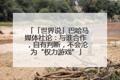 「世界说」巴哈马媒体社论：与谁合作，自有判断，不会沦为“权力游戏”