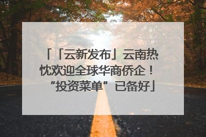 「云新发布」云南热忱欢迎全球华商侨企！“投资菜单”已备好