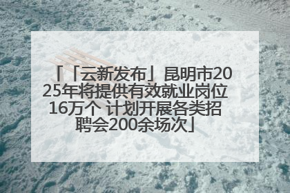 「云新发布」昆明市2025年将提供有效就业岗位16万个 计划开展各类招聘会200余场次
