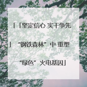 「坚定信心 实干争先」“钢铁森林”中 重塑“绿色”火电基因