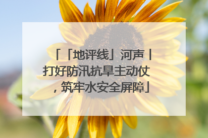 「地评线」河声丨打好防汛抗旱主动仗，筑牢水安全屏障