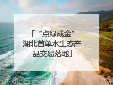 “点绿成金” 湖北首单水生态产品交易落地