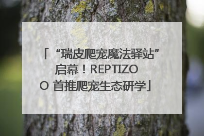 “瑞皮爬宠魔法驿站” 启幕！REPTIZOO 首推爬宠生态研学