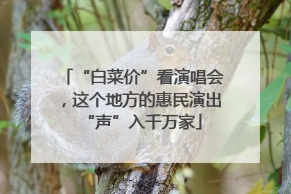 “白菜价”看演唱会，这个地方的惠民演出“声”入千万家