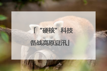 “硬核”科技备战高原夏汛