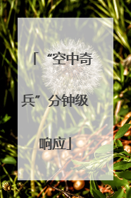 “空中奇兵”分钟级响应