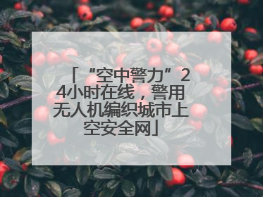 “空中警力”24小时在线，警用无人机编织城市上空安全网