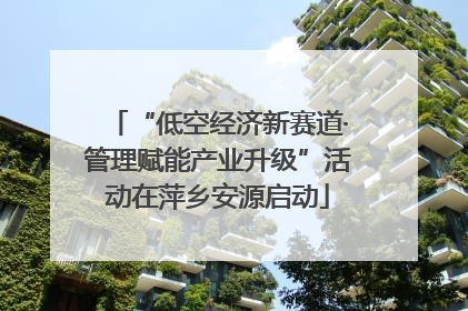 “低空经济新赛道·管理赋能产业升级”活动在萍乡安源启动
