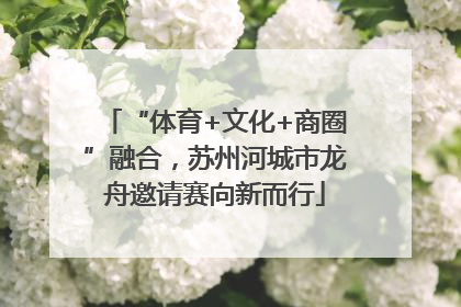 “体育+文化+商圈”融合，苏州河城市龙舟邀请赛向新而行