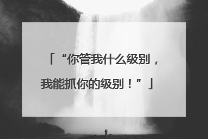 “你管我什么级别，我能抓你的级别！”