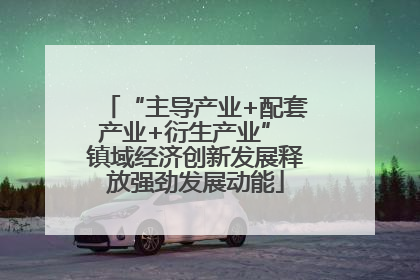 “主导产业+配套产业+衍生产业” 镇域经济创新发展释放强劲发展动能