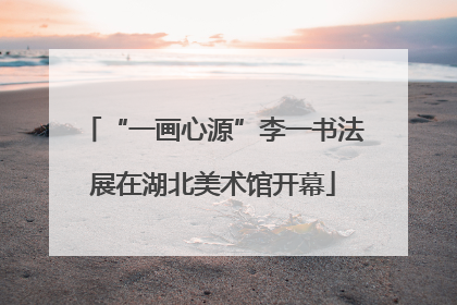 “一画心源”李一书法展在湖北美术馆开幕