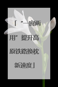 “一窗两用”提升高原铁路换枕新速度