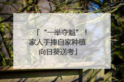 “一举夺魁”！家人手捧自家种植向日葵送考