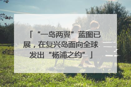 “一岛两翼”蓝图已展，在复兴岛面向全球发出“杨浦之约”