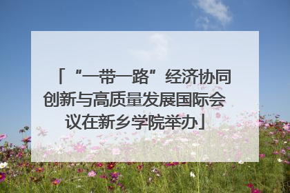 “一带一路”经济协同创新与高质量发展国际会议在新乡学院举办
