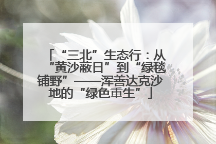 “三北”生态行：从“黄沙蔽日”到“绿毯铺野”——浑善达克沙地的“绿色重生”