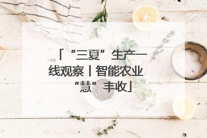 “三夏”生产一线观察丨智能农业“慧”丰收