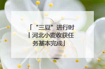 “三夏”进行时丨河北小麦收获任务基本完成