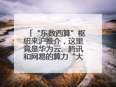 “东数西算”枢纽来沪推介，这里竟是华为云、腾讯和网易的算力“大本营”
