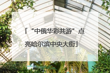“中俄华彩共游”点亮哈尔滨中央大街
