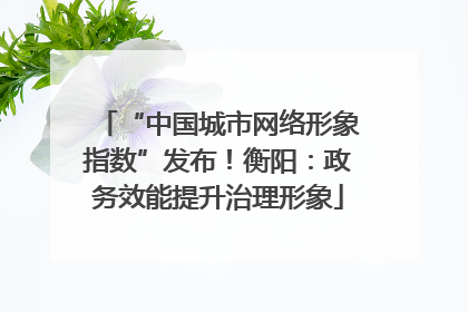 “中国城市网络形象指数”发布！衡阳：政务效能提升治理形象