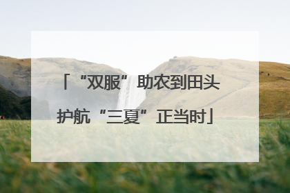 “双服”助农到田头 护航“三夏”正当时