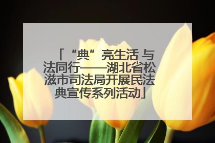 “典”亮生活 与法同行——湖北省松滋市司法局开展民法典宣传系列活动