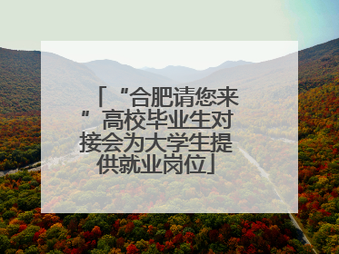 “合肥请您来”高校毕业生对接会为大学生提供就业岗位