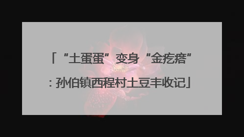 “土蛋蛋”变身“金疙瘩”：孙伯镇西程村土豆丰收记
