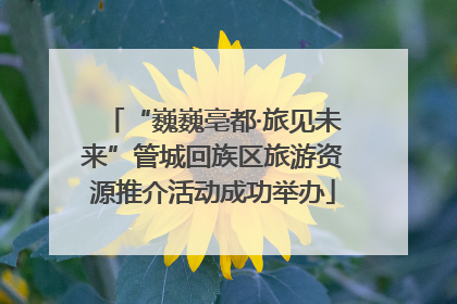 “巍巍亳都·旅见未来”管城回族区旅游资源推介活动成功举办