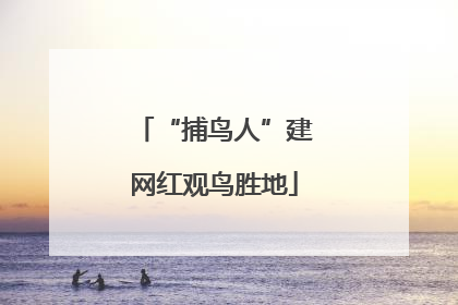 “捕鸟人”建网红观鸟胜地