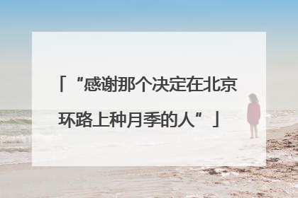 “感谢那个决定在北京环路上种月季的人”