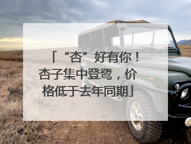 “杏”好有你！杏子集中登鹭，价格低于去年同期