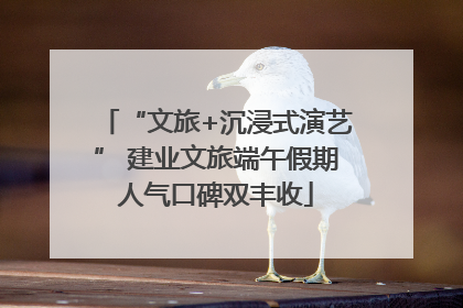“文旅+沉浸式演艺” 建业文旅端午假期人气口碑双丰收