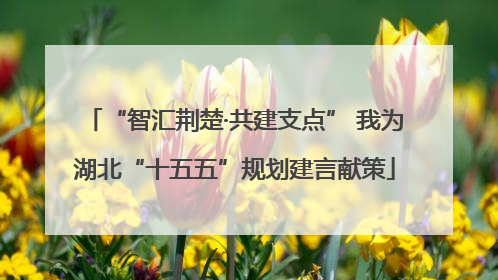 “智汇荆楚·共建支点” 我为湖北“十五五”规划建言献策