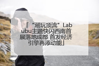 “潮玩顶流”Labubu主题快闪西南首展落地成都 首发经济引擎再添动能