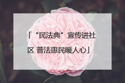 “民法典”宣传进社区 普法惠民暖人心
