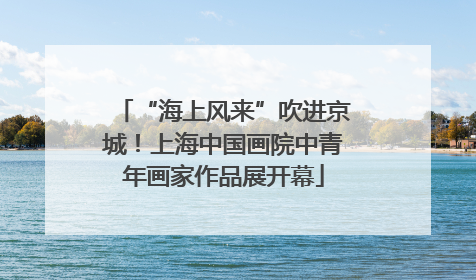 “海上风来”吹进京城！上海中国画院中青年画家作品展开幕
