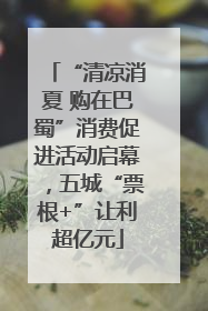 “清凉消夏 购在巴蜀”消费促进活动启幕，五城“票根+”让利超亿元