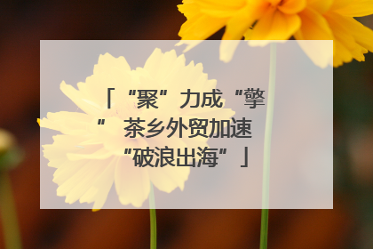 “聚”力成“擎” 茶乡外贸加速“破浪出海”