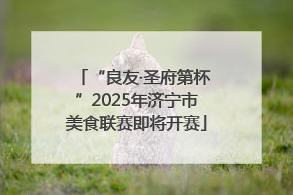 “良友·圣府第杯”2025年济宁市美食联赛即将开赛