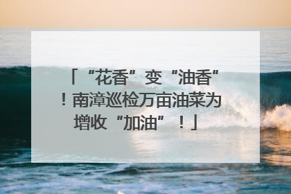 “花香”变“油香”！南漳巡检万亩油菜为增收“加油”！
