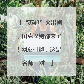 “苏超”火出圈，贝克汉姆都来了！网友打趣：这是名师一对一