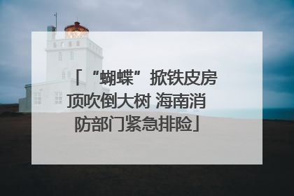 “蝴蝶”掀铁皮房顶吹倒大树 海南消防部门紧急排险