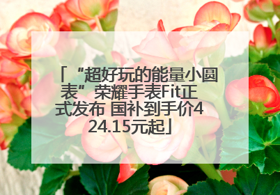 “超好玩的能量小圆表”荣耀手表Fit正式发布 国补到手价424.15元起
