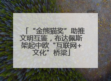 “金熊猫奖”助推文明互鉴，布达佩斯架起中欧“互联网+文化”桥梁
